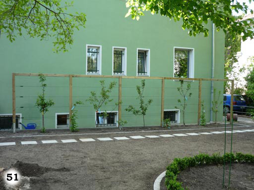 Sinnvolle Holzbalken um Pflanzen vom umknicken zu bewahren an einem grünen Haus