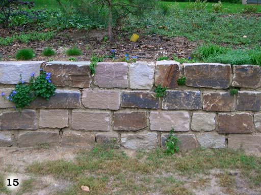 Mauerwerk mit eingelassenen Pflanzen um einer erhöhten Grünfläche