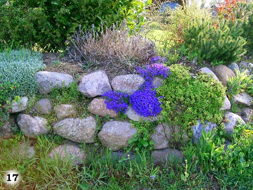 Kleine altmodische Mauer aus einzelnen Steinen und Pflanzen