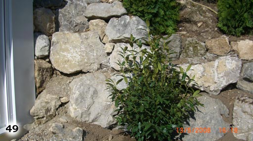 Mauer aus vielen ungleichen Steinen mit einem Busch davor
