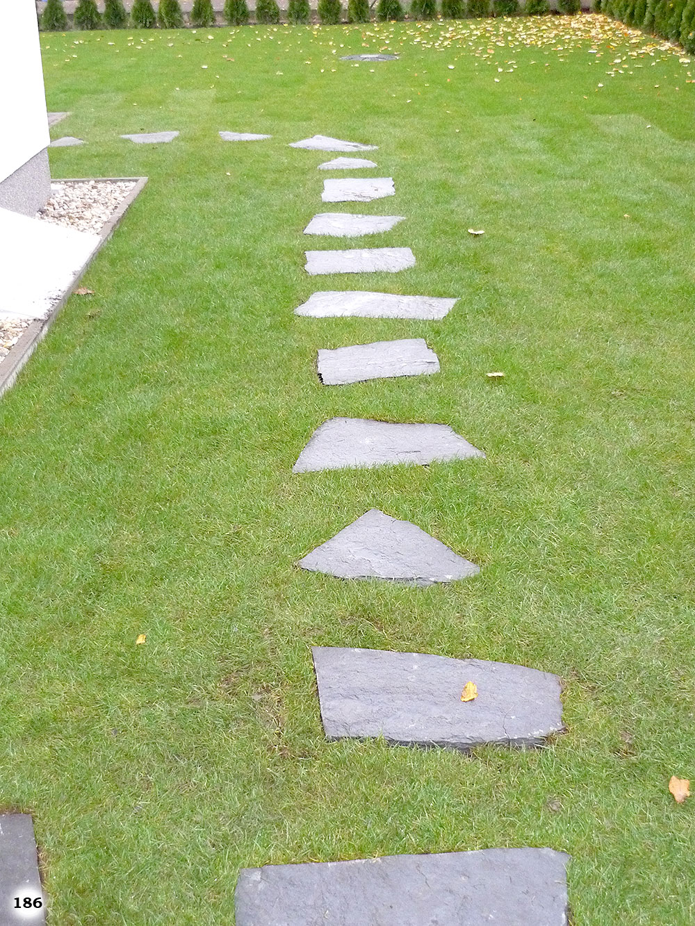 nicht symmetrische dünne graue Steinplatten im Rasen dienen als Weg