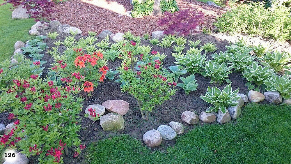 Ein Beet mit kleinen Pflanzen in einem Garten welches mit Steinen umrundet ist.