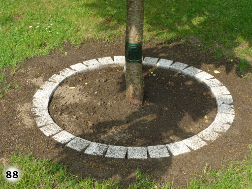 Ein Baumstamm umrandet mit Pflastersteinen auf einer Grünfläche