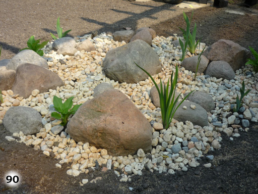 Ein kleiner Teil eines Feldes bedeckt mit Steinen und vereinzelnden Pflanzen