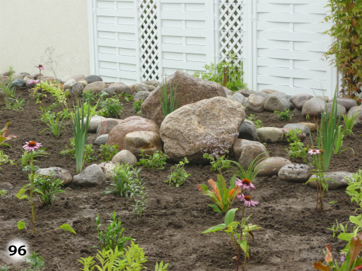 Beet mit kleinen Sträuchern und Blumen umringt von Steinen