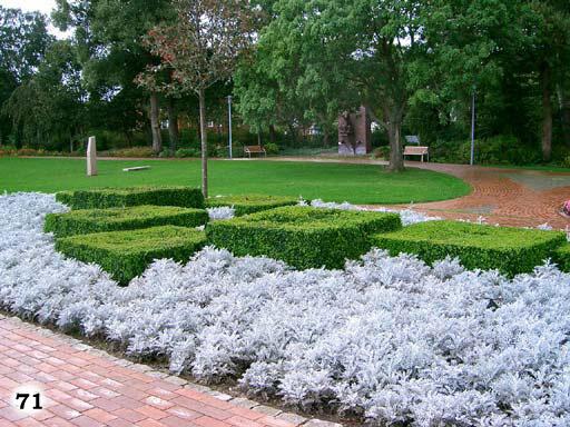 Ein schöner Bereich eines Parks mit eckigen Büschen und weißen Blumen