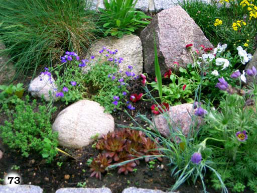 Beet mit bunten Blumen und größere Steine