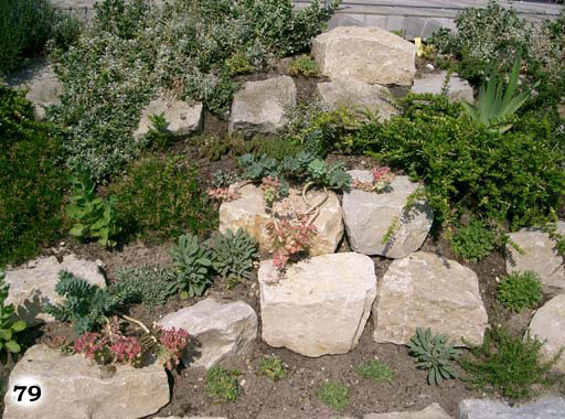 Große kantige Steine und kleinen grünen Pflanzen