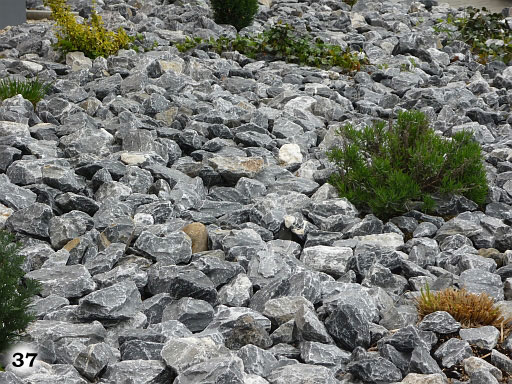 kleine graue Steine mit Bepflanzung