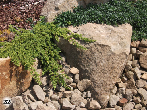 großer Stein und kleine Steine mit Holzspänen und verschiedenen Pflanzen