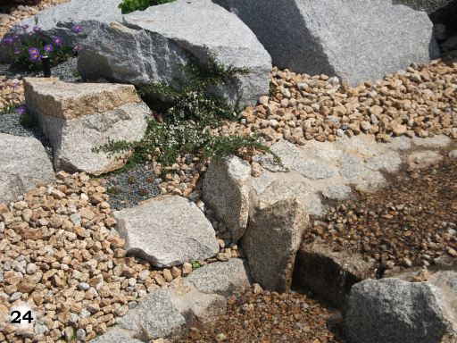 graue Steine und hell braune Kieselsteine mit Bepflanzung