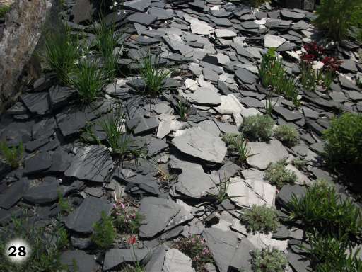 dunkel graue, nicht symmetrische Steinplatten übereinander gelegt mit Bepflanzung