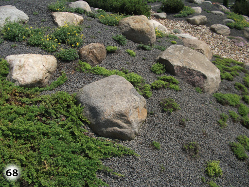Eine großzügige Fläche mit großen Steinen und grünen Pflanzen