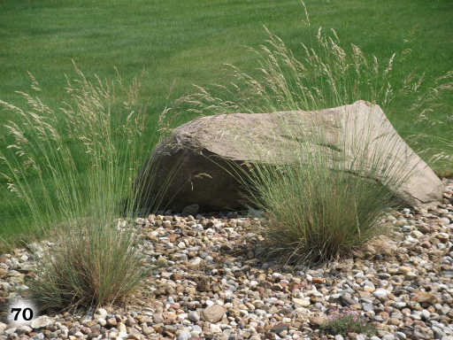Zwei kleine pflanzen und ein großer Stein auf einer Steigung einer Grünfläche