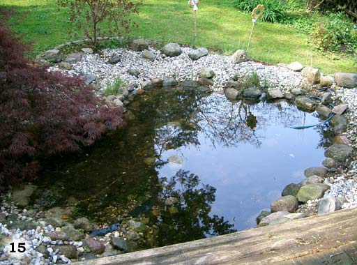 Ein Teich der von Steinen und einer Grünfläche umgeben ist