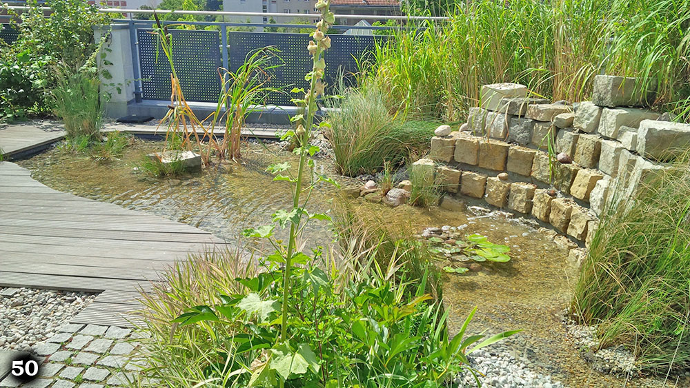 Kleiner Teich mit einer Mauer von der Wasser läuft und vielen kleinen Pflanzen